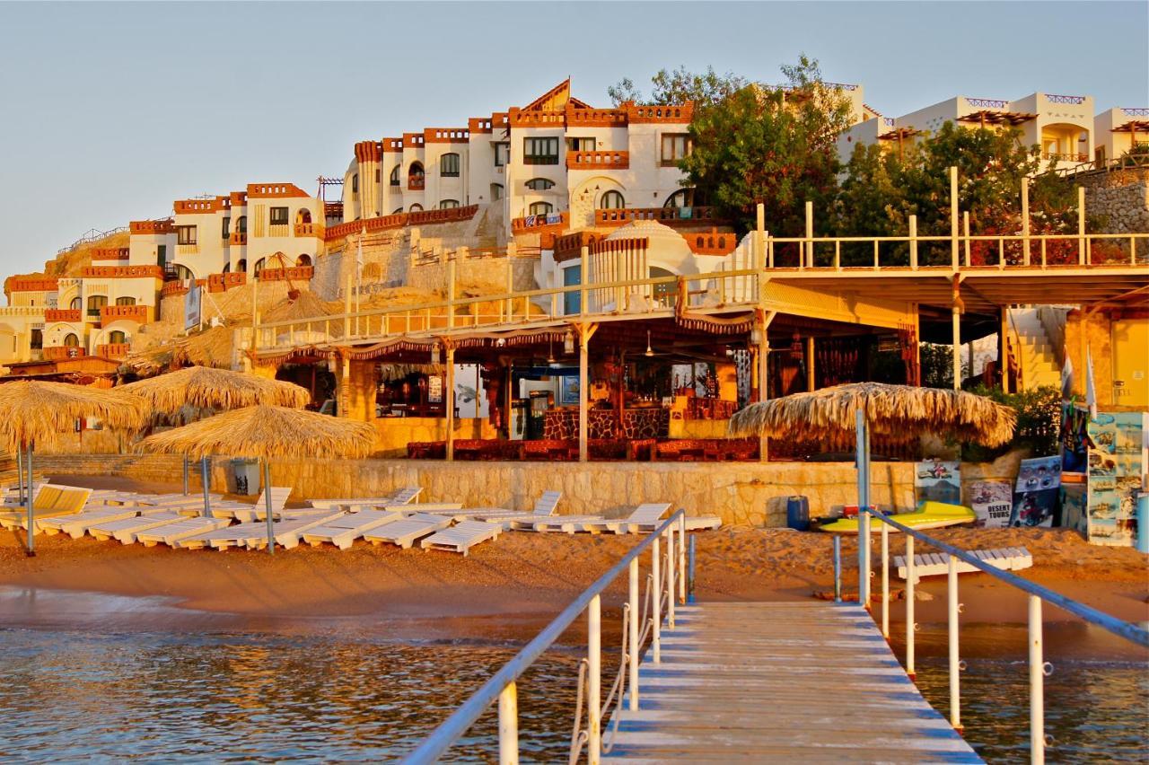 Ośrodek wypoczynkowy Umbi Sharks Bay Diving Village 3*