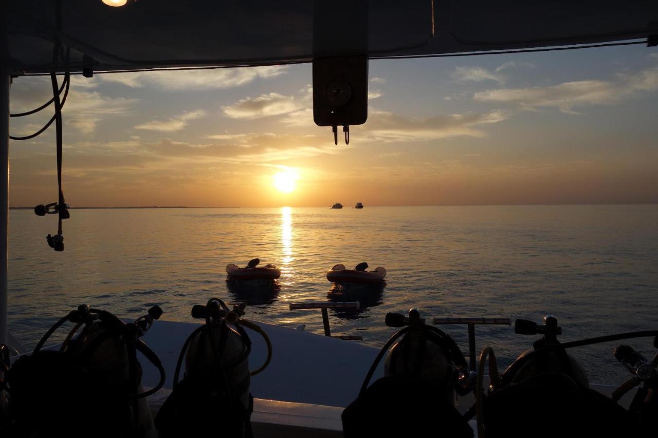 Курортный комплекс Umbi Sharks Bay Diving Village 3*