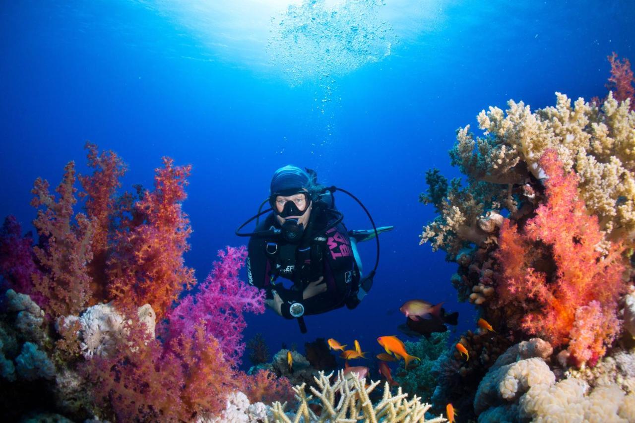 Umbi Sharks Bay Diving Village 3* Sharm-el-Sheikh