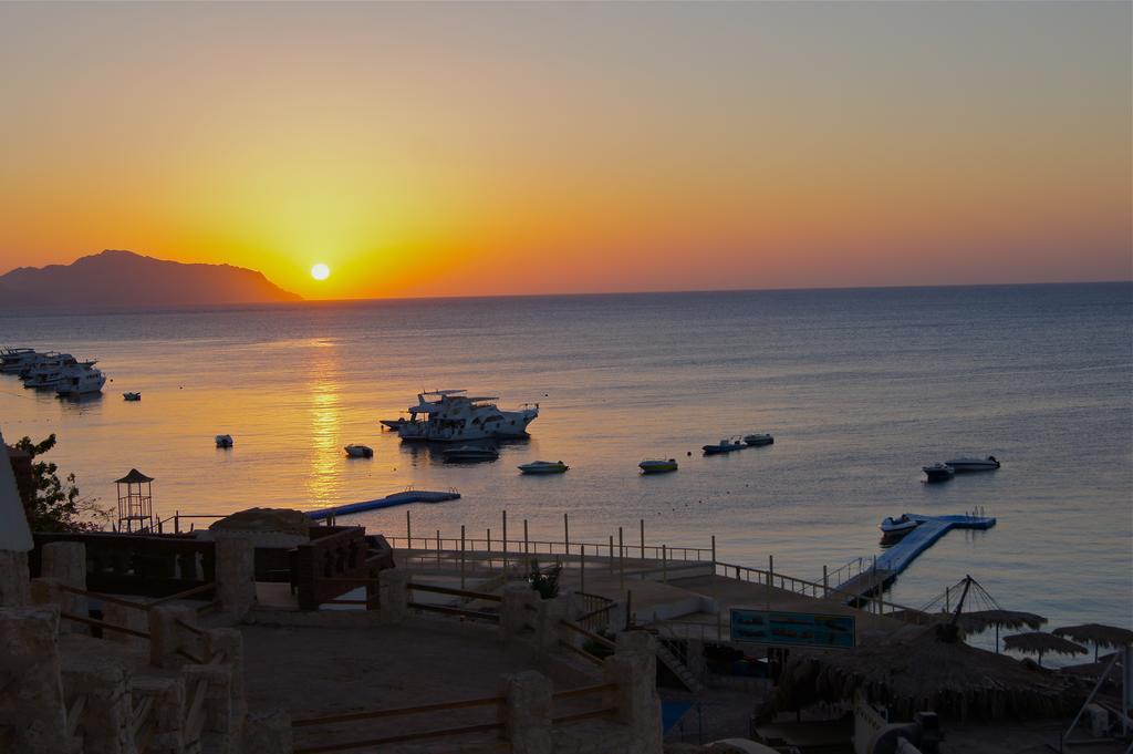 Umbi Sharks Bay Diving Village Resort Sharm-el-Sheikh