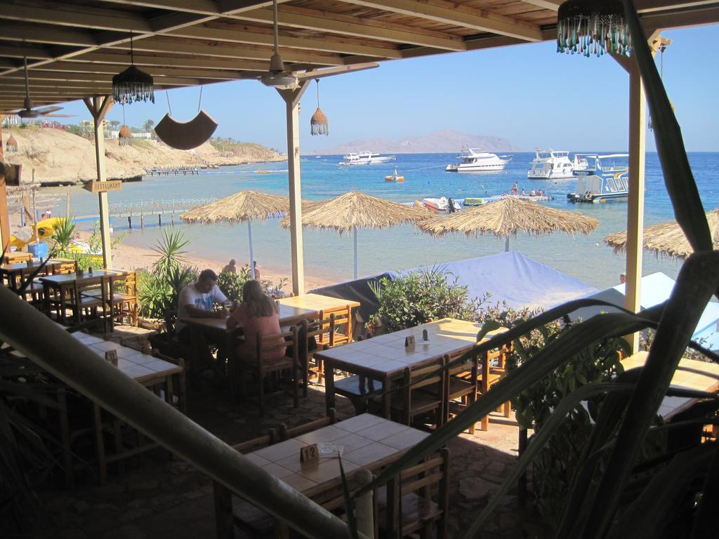 Umbi Sharks Bay Diving Village Sharm-el-Sheikh