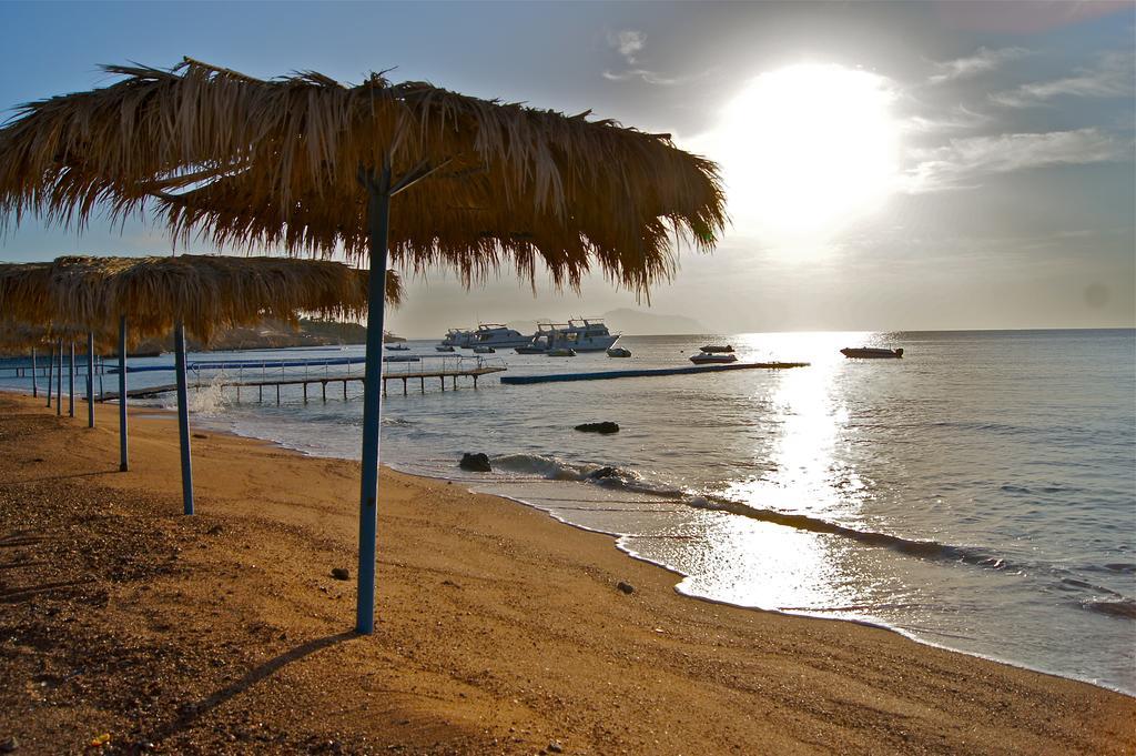 Umbi Sharks Bay Diving Village Resort Sharm-el-Sheikh
