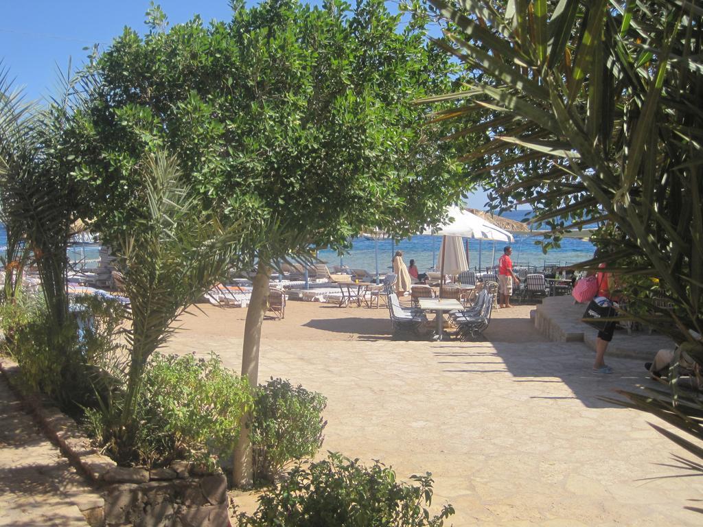 Umbi Sharks Bay Diving Village Sharm-el-Sheikh