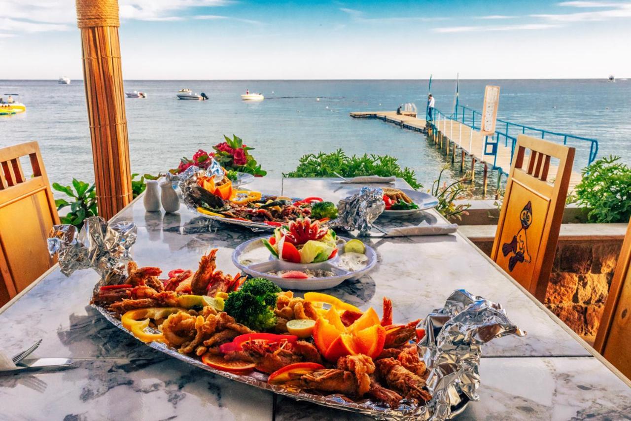 Umbi Sharks Bay Diving Village Sharm-el-Sheikh