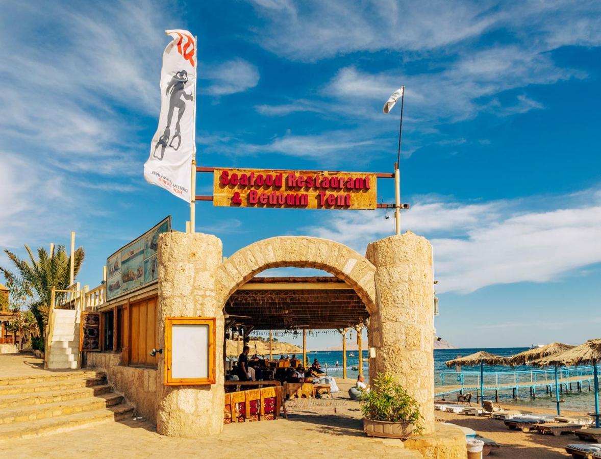 Umbi Sharks Bay Diving Village Resort Sharm-el-Sheikh