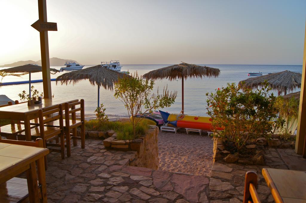 Umbi Sharks Bay Diving Village Resort Sharm-el-Sheikh